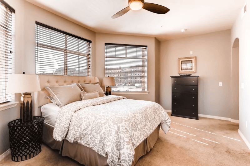 Denver Condo: 1100 N Grant St