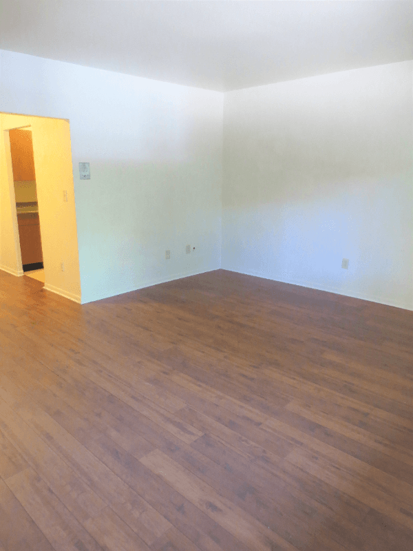 Pittsburgh Apartment: 6350 Forward Ave
