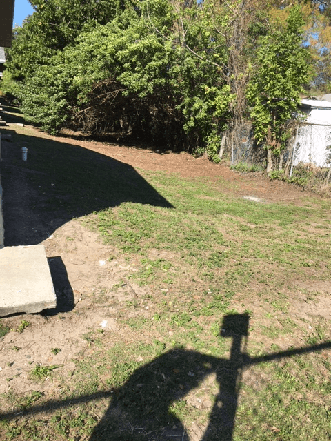 Pinellas Park Multiplex: 3725 66th Avenue N