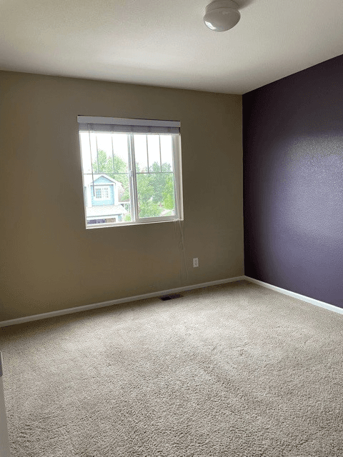 Fort Collins House: 1309 Vinson St