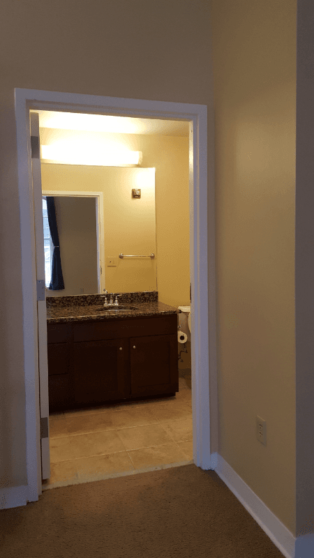 Norfolk Condo: 241 Granby