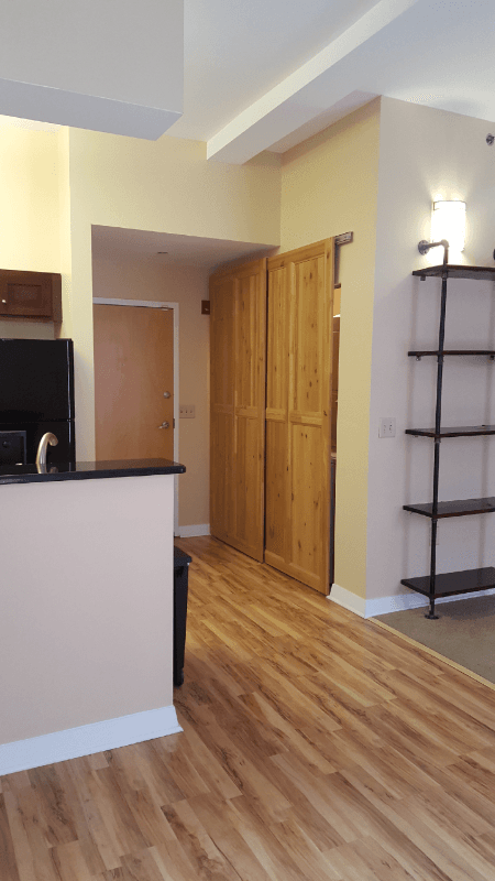 Norfolk Condo: 241 Granby