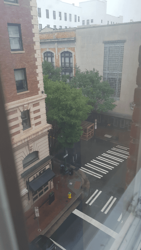 Norfolk Condo: 241 Granby