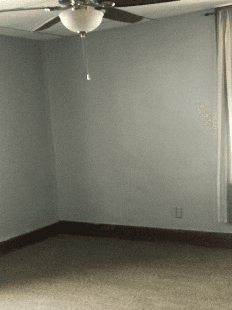 romulus Apartment: 11076 shook