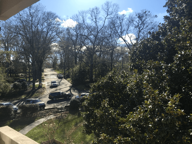 Greenville Condo: 601 Cleveland Street