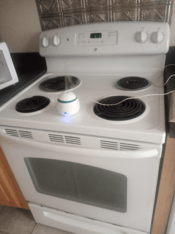 Hartford Townhome: 29 b Edgewood st 2 FL