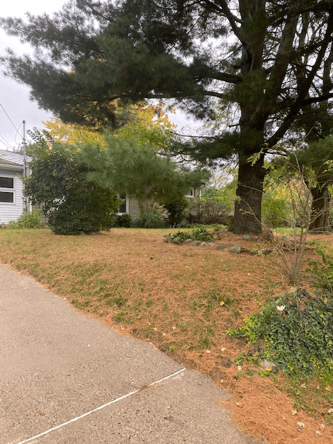 Haslett House: 1260 Orlando Dr.