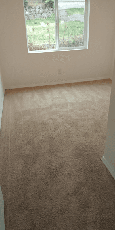 Burien House: 13628 2nd Ave SW
