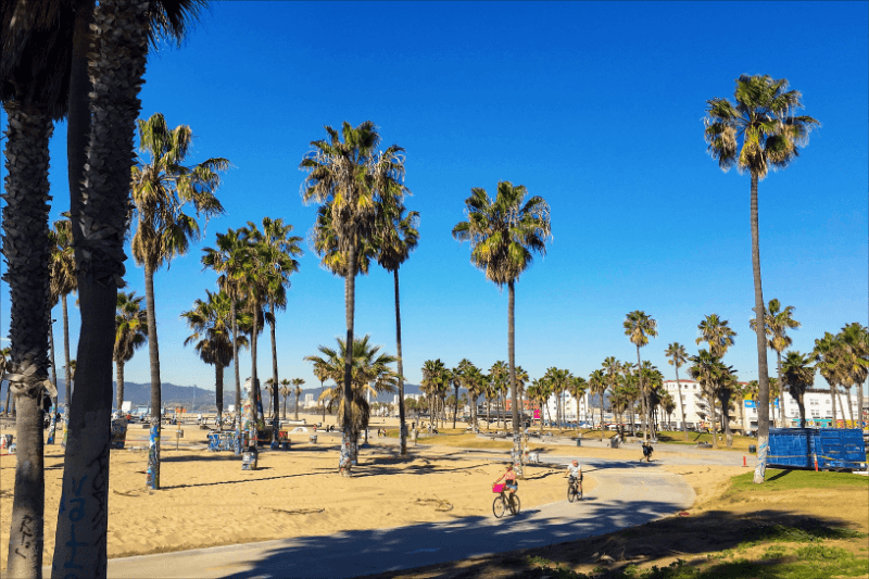 Venice Apartment: 12 South Venice Blvd
