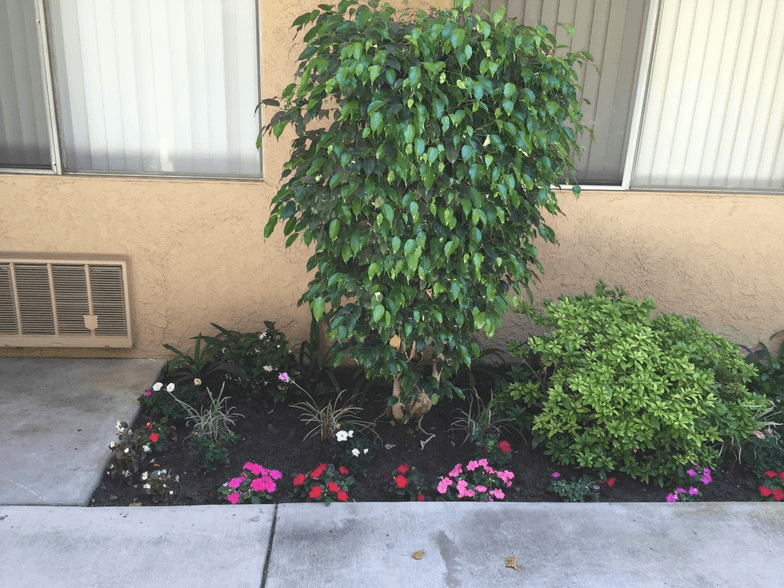 Northridge Apartment: 8343 Amigo Avenue