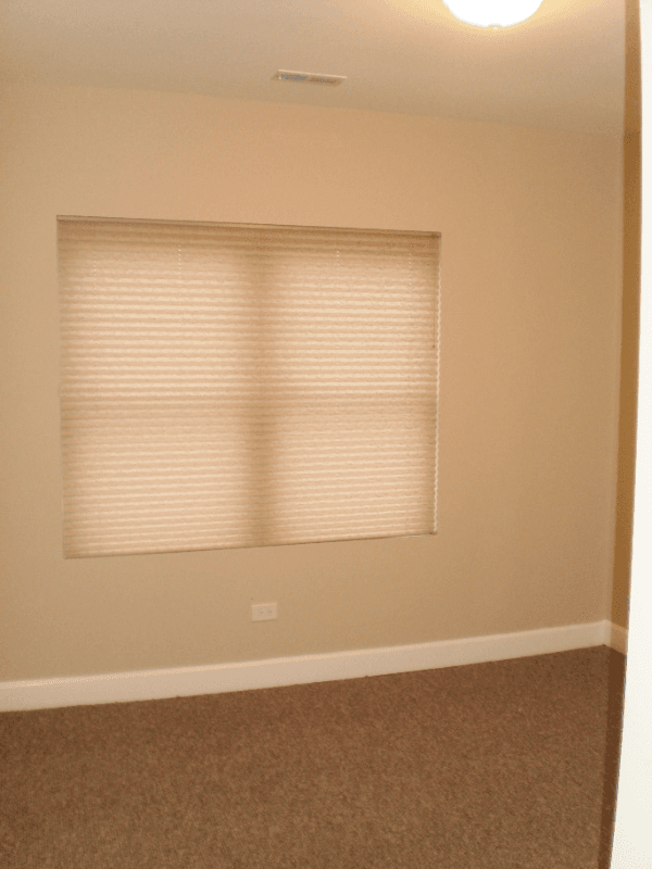 Chicago Condo: 6922 S Cregier Ave