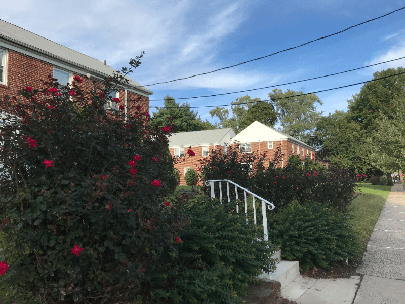 Highland Park Apartment: 316 Magnolia Street