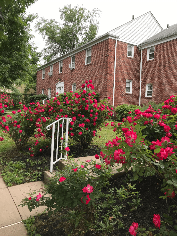 Highland Park Apartment: 316 Magnolia Street