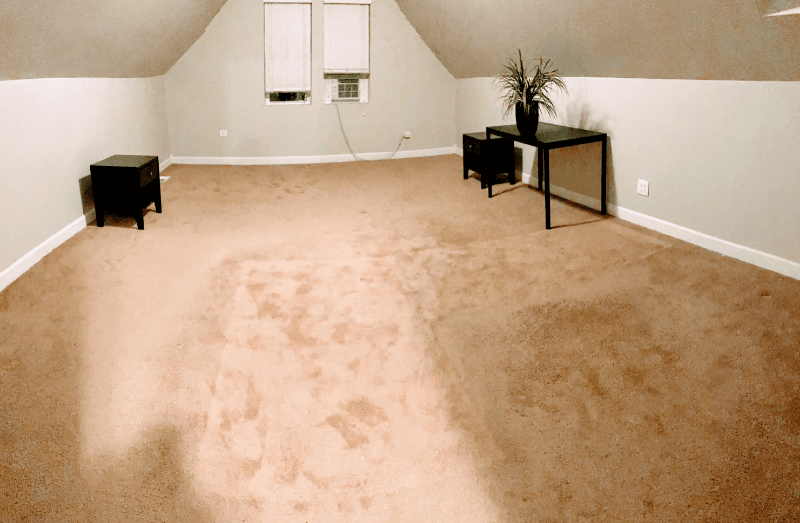 Chicago Apartment: 3547 S Hermitage Ave
