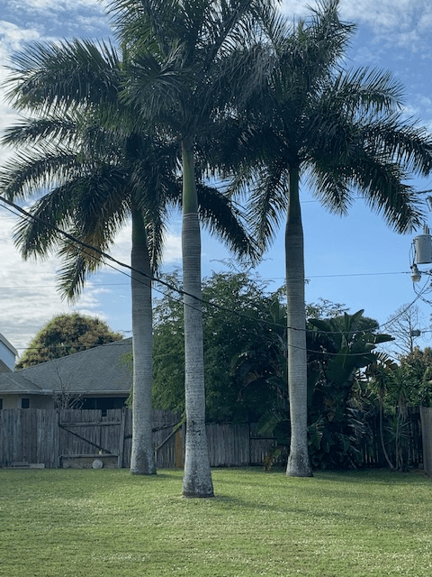 Port St Lucie House: 1256 SW Byron