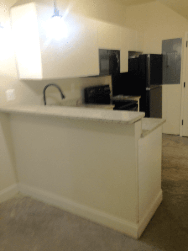 Baltimore Apartment: 124 E Trenton St