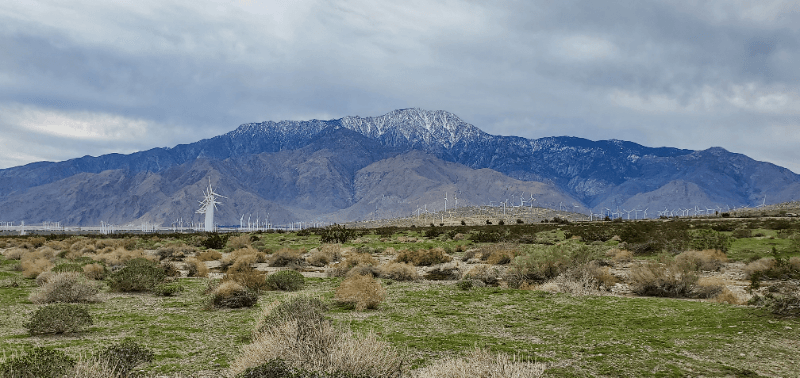 Desert Hot Springs Multiplex: 61500 Bandera St