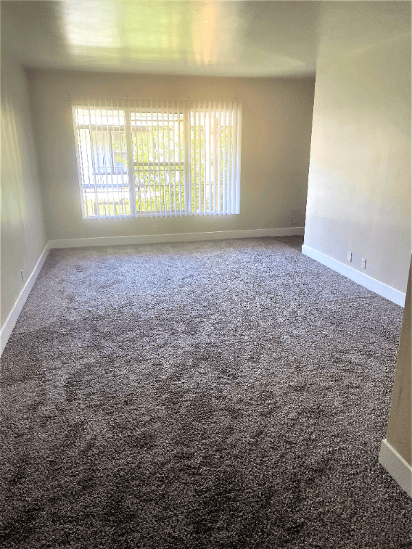 Pasadena Apartment: 170 S Chester Ave