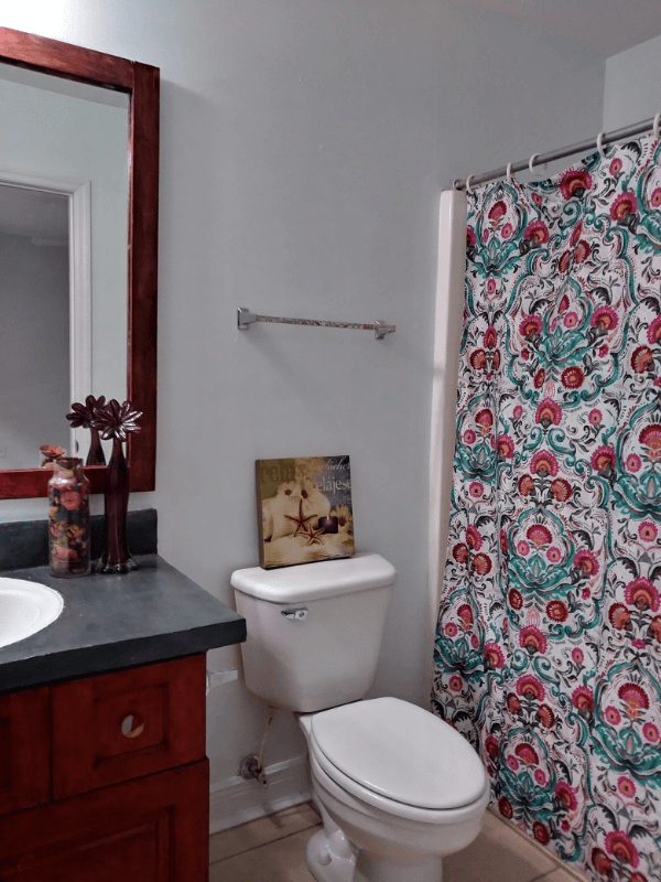 Tallahassee Townhome: 3249 Sawtooth Drive
