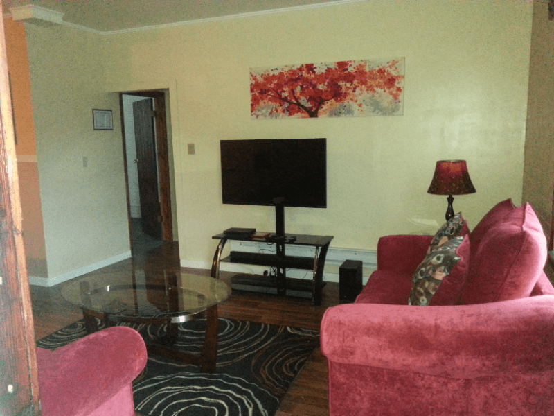 Oneonta Apartment: 70 Market Street