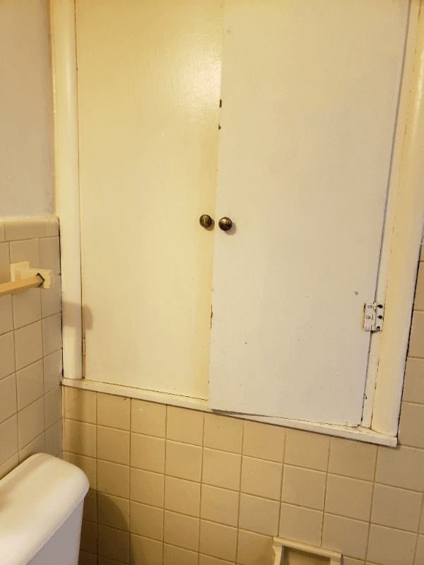 Rockford Apartment: 1005 Garfield Ave, Rockford IL