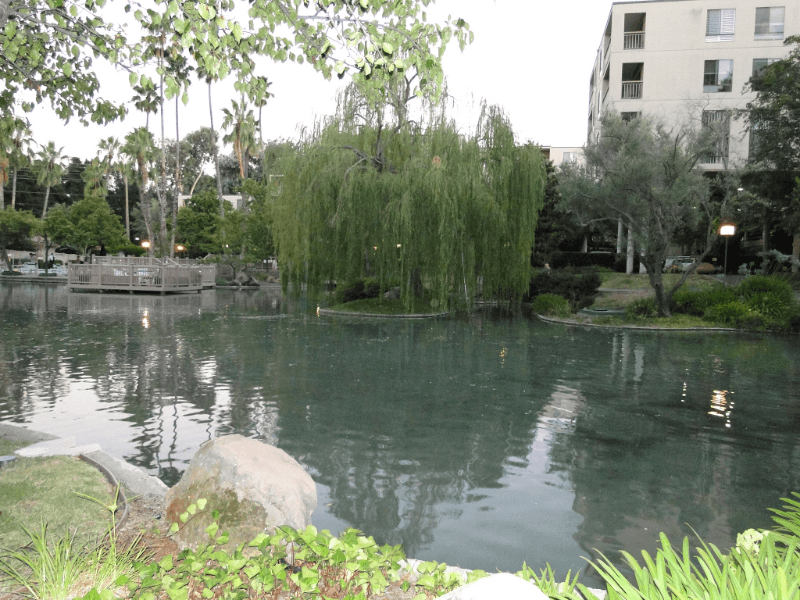 Walnut Creek Condo: 450 N. Civic Dr