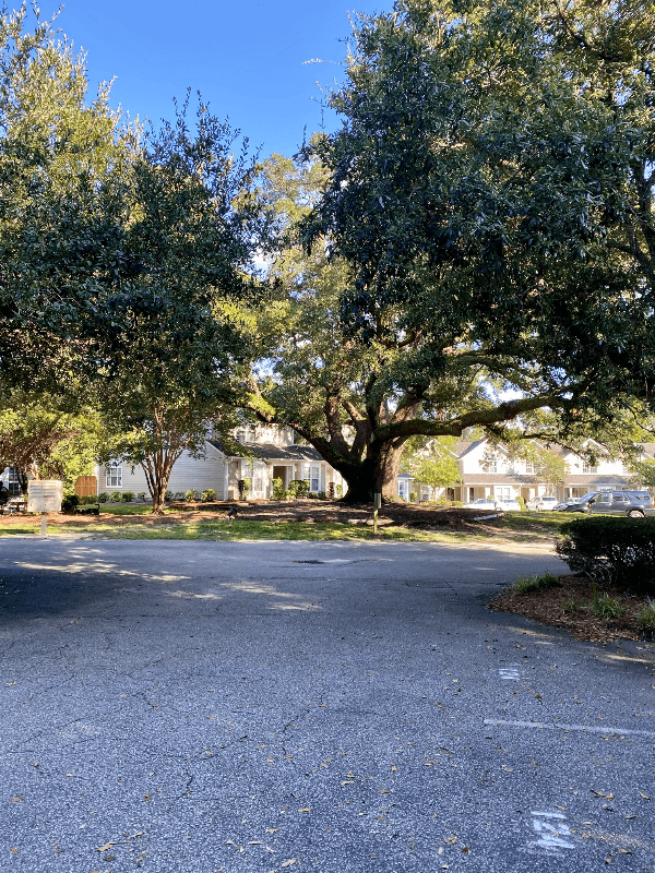 Wilmington Townhome: 6211 Wrightsville Ave
