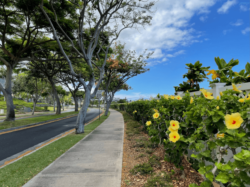 Wailuku House: 371 Puaehu St.