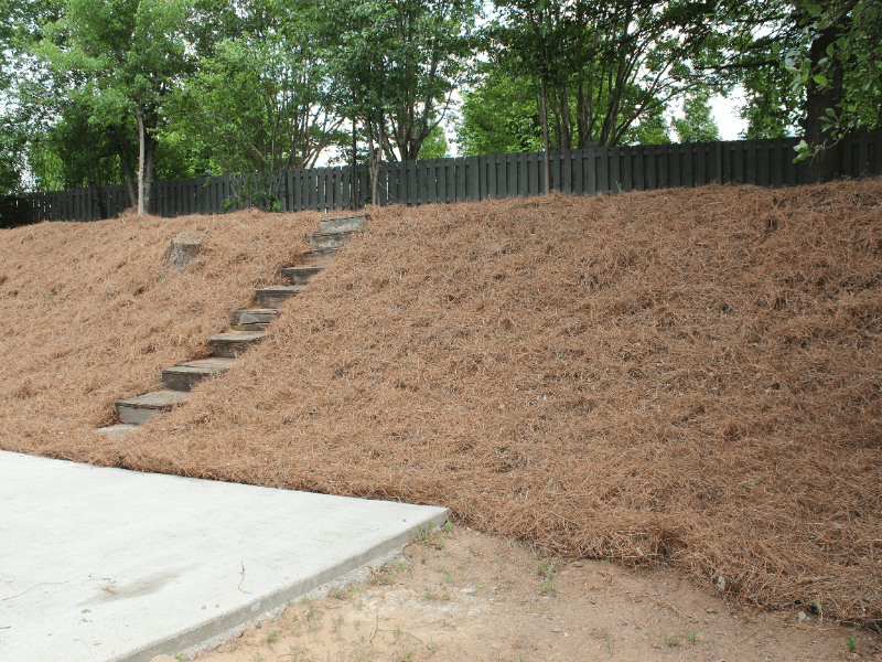 Johns Creek House: 400 Stedford Ln