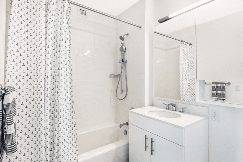 Long Island City Apartment: 52 Center Blvd