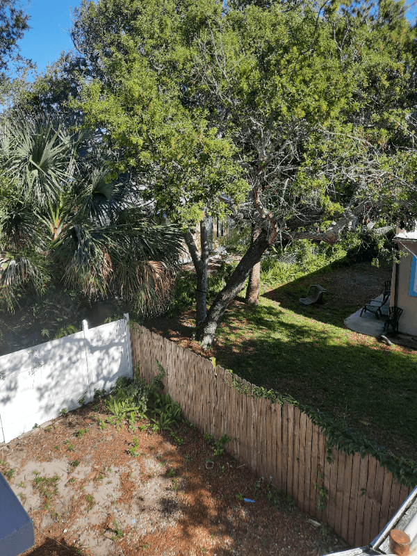 Daytona Beach Apartment: 512 Phoenix Ave Apt 2