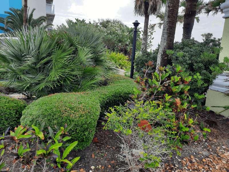 Daytona Beach Apartment: 512 Phoenix Ave