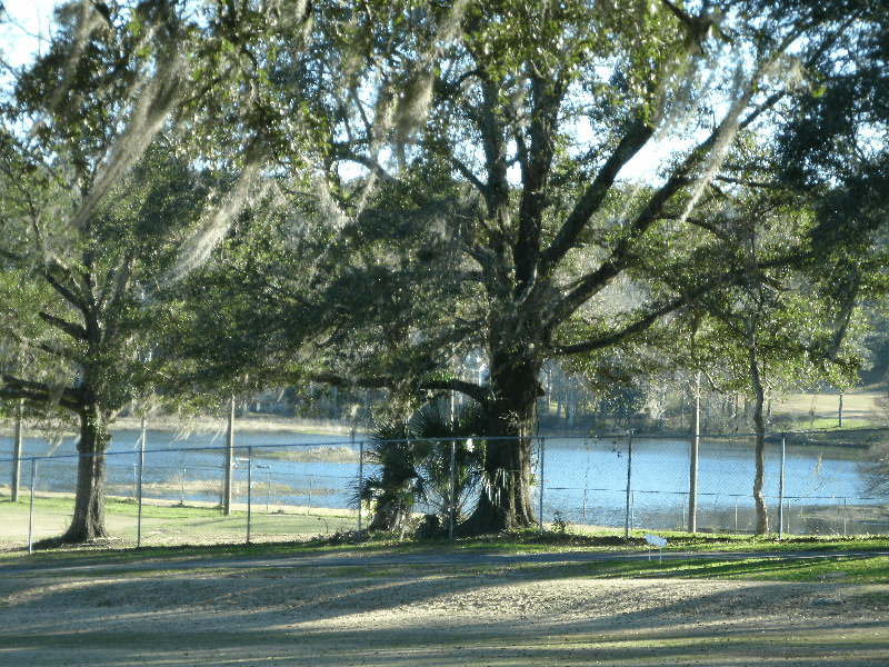 Tallahassee Apartment: 2/2 Darryl Dr 1300sf