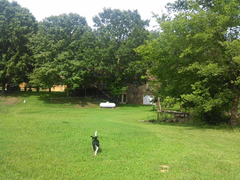 Iron City House: 8310 Middle Butler Rd