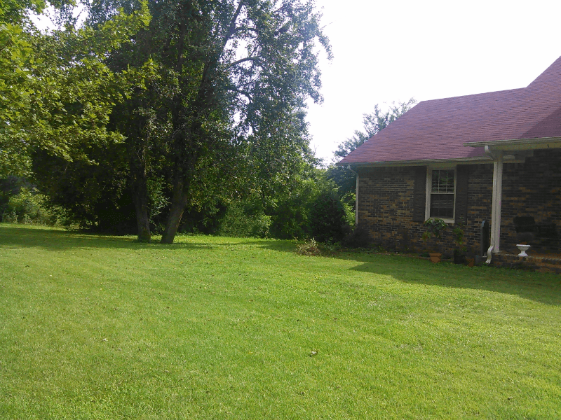 Iron City House: 8310 Middle Butler Rd