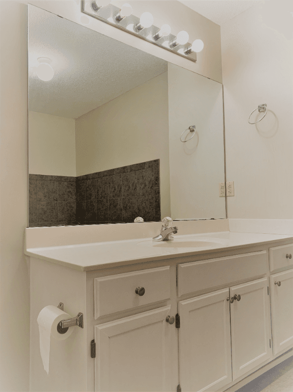 Eden Prairie Townhome: 18183 Warbler Ln