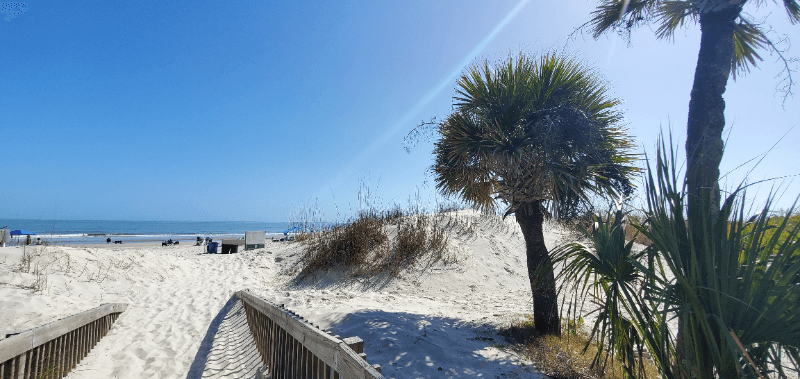 Hilton Head Island Condo: 663 William Hilton Pkwy