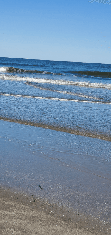 Hilton Head Island Condo: 663 William Hilton Pkwy