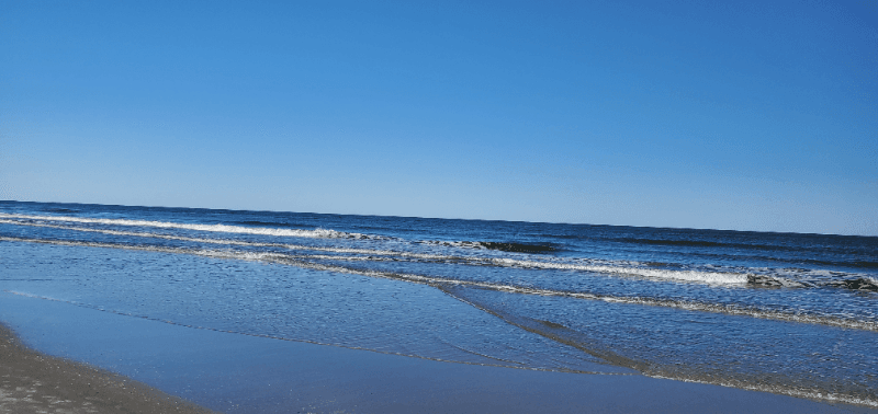 Hilton Head Island Condo: 663 William Hilton Pkwy