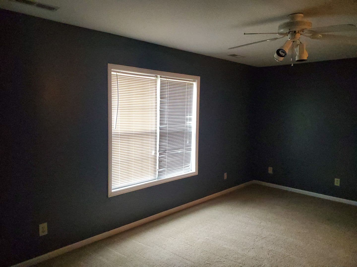 Vass House: 149 Honey Bee Ln.