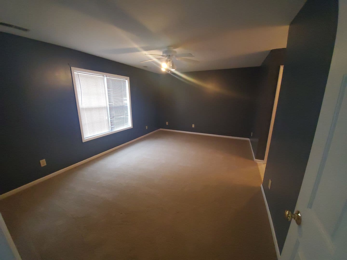 Vass House: 149 Honey Bee Ln.