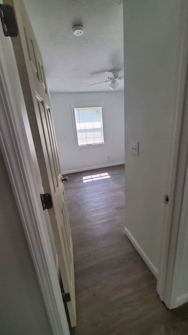 Fayetteville House: 903 Locust Street