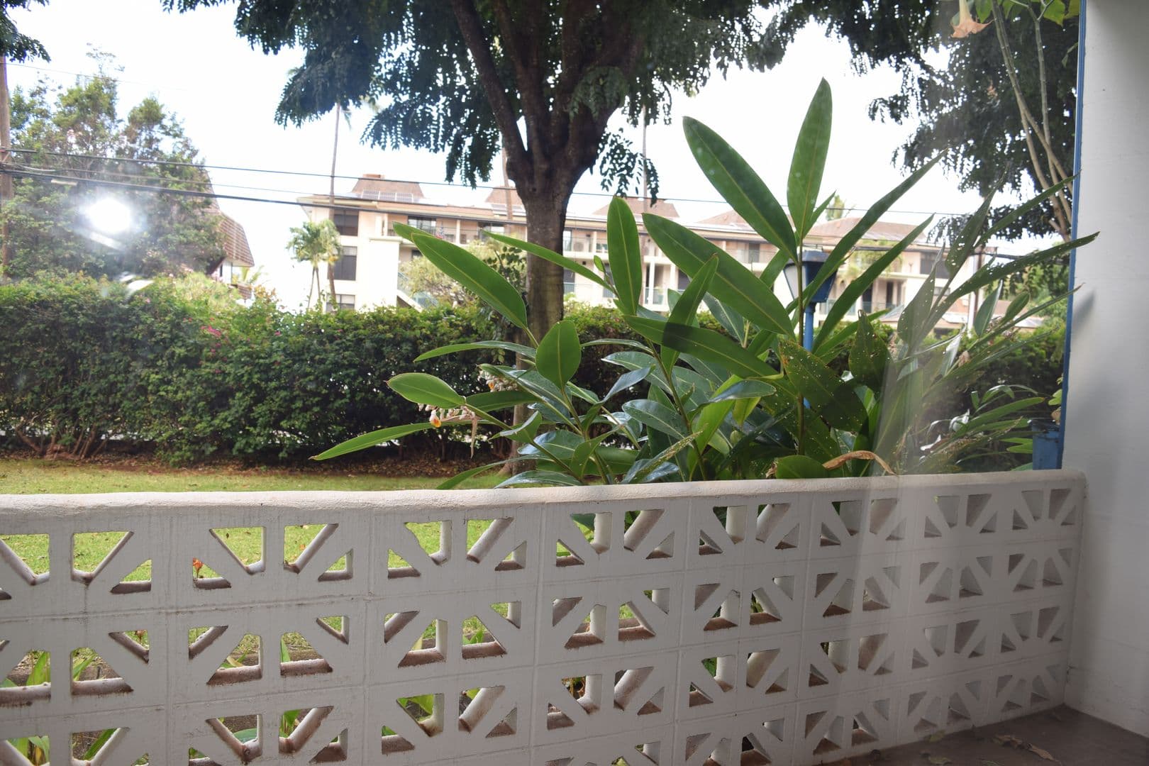 Lahaina Condo: 3750 Lower Honoapiilani Rd. #107