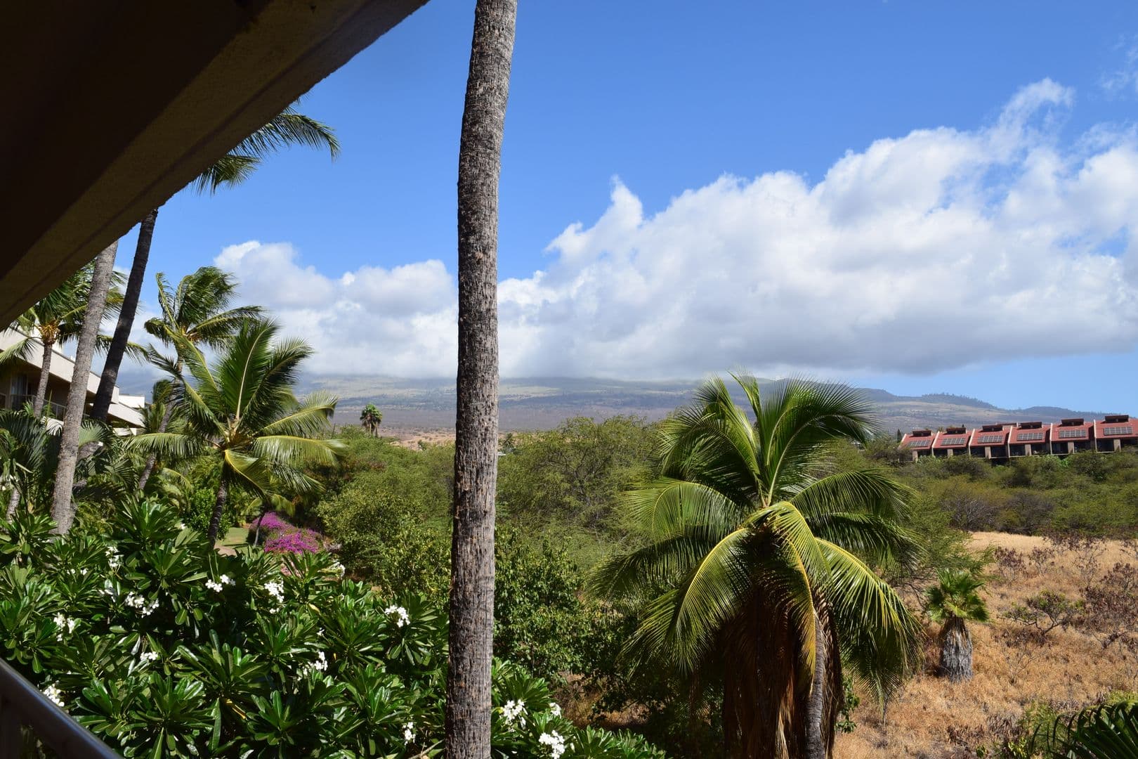 Kihei Condo: 2575 S Kihei Rd, H309