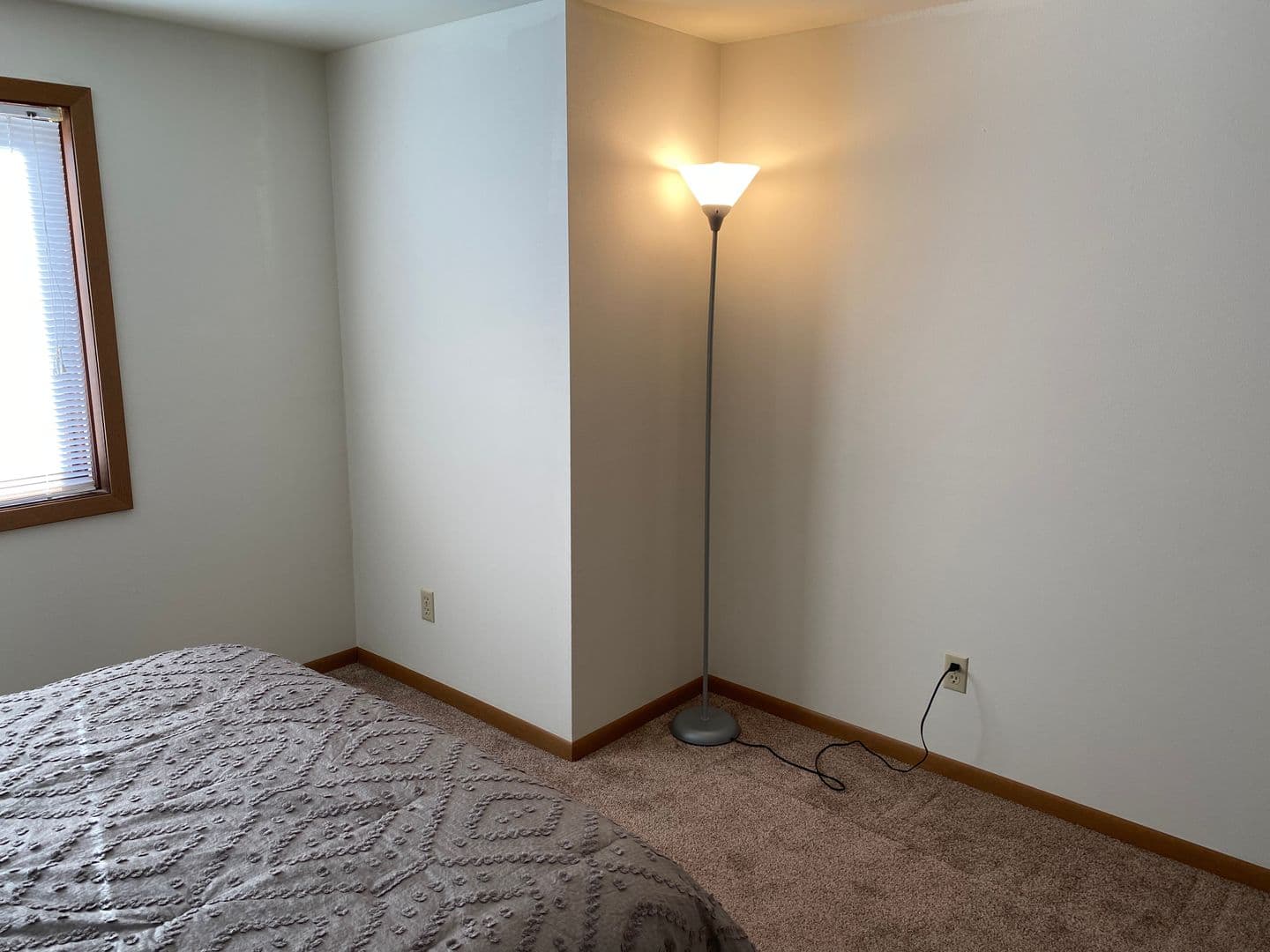 Marshfield Apartment: 307 S Vine Avenue