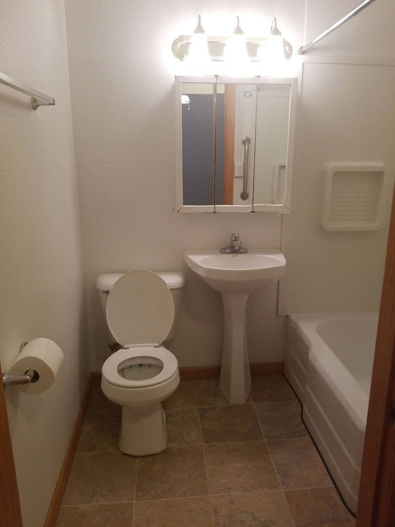 Wittenberg Apartment: 516 S Webb Street