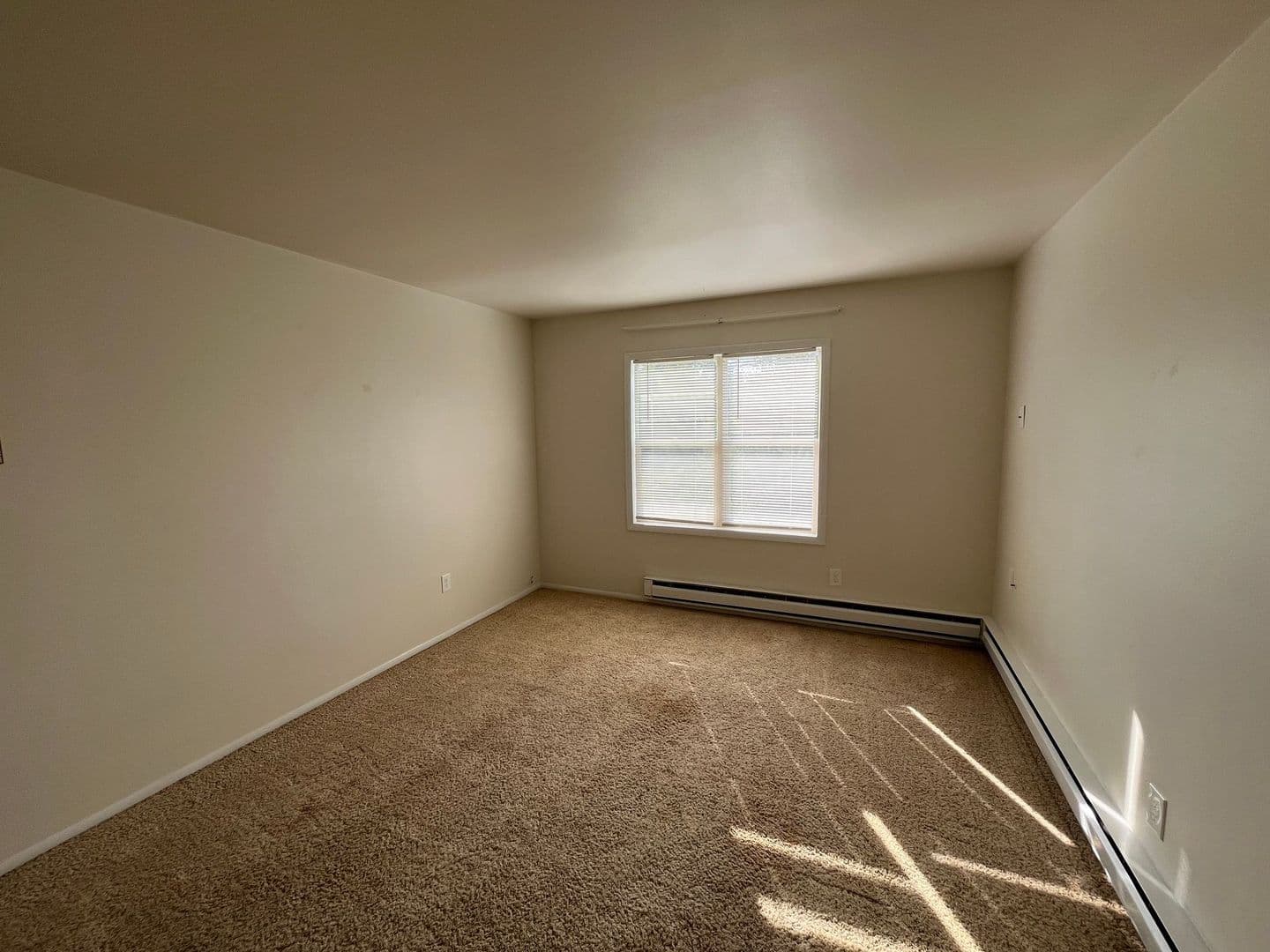 Wittenberg Apartment: 203 E Front St