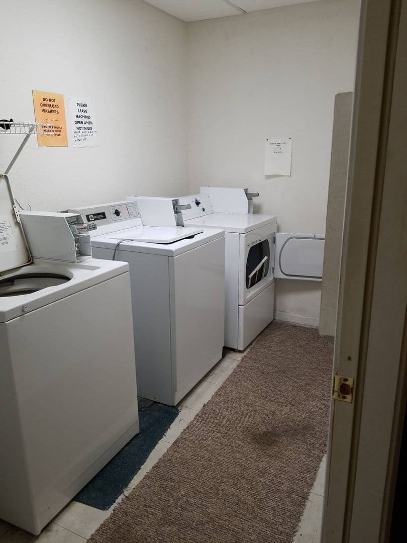 Wittenberg Apartment: 516 S Webb Street