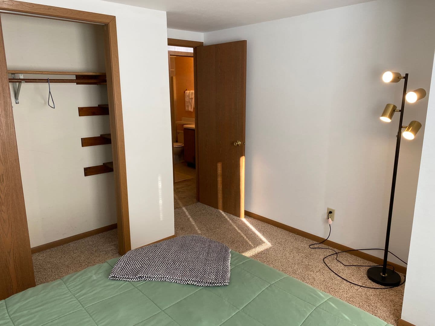 Marshfield Apartment: 307 S Vine Avenue