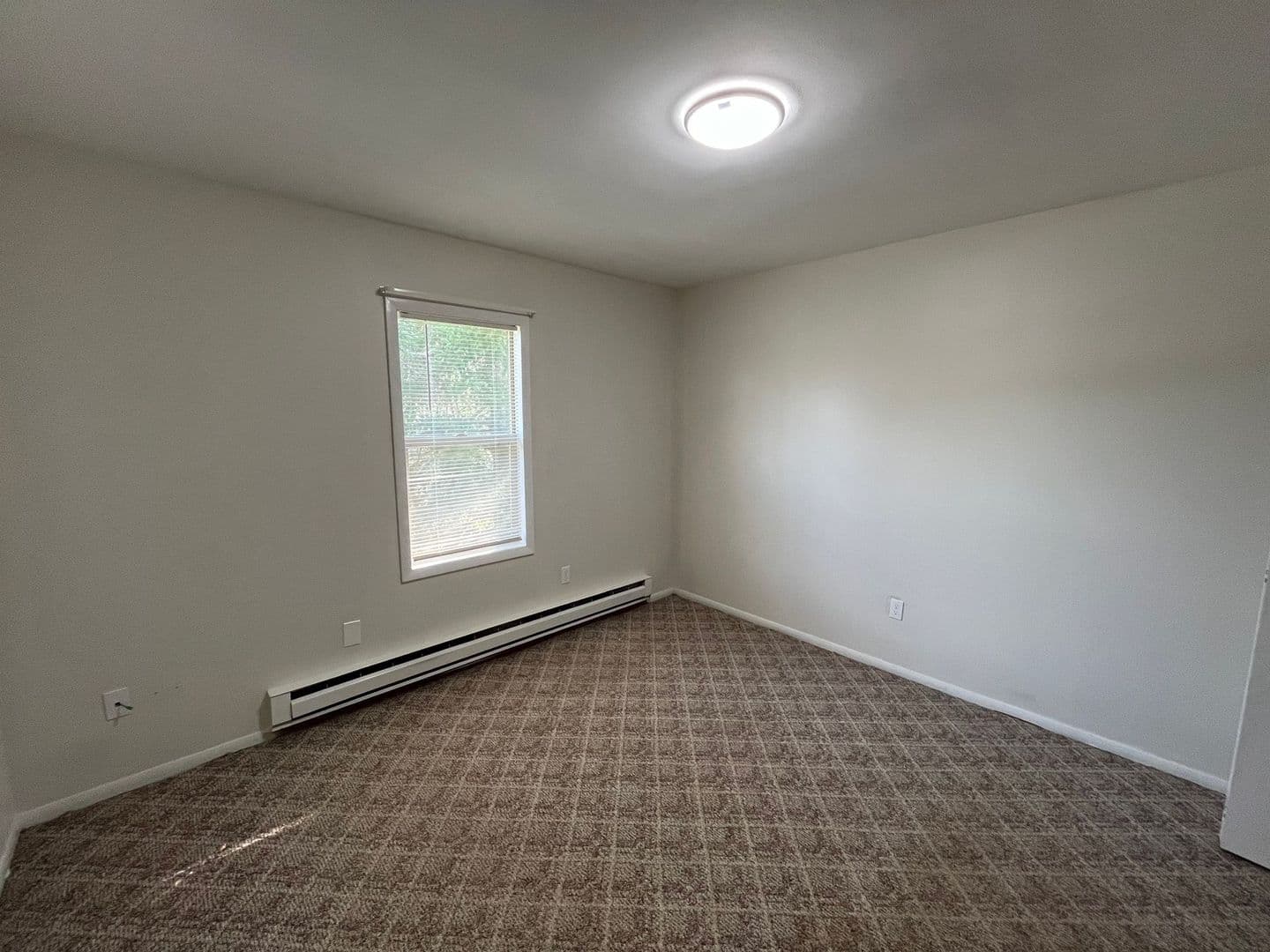 Wittenberg Apartment: 203 E Front St